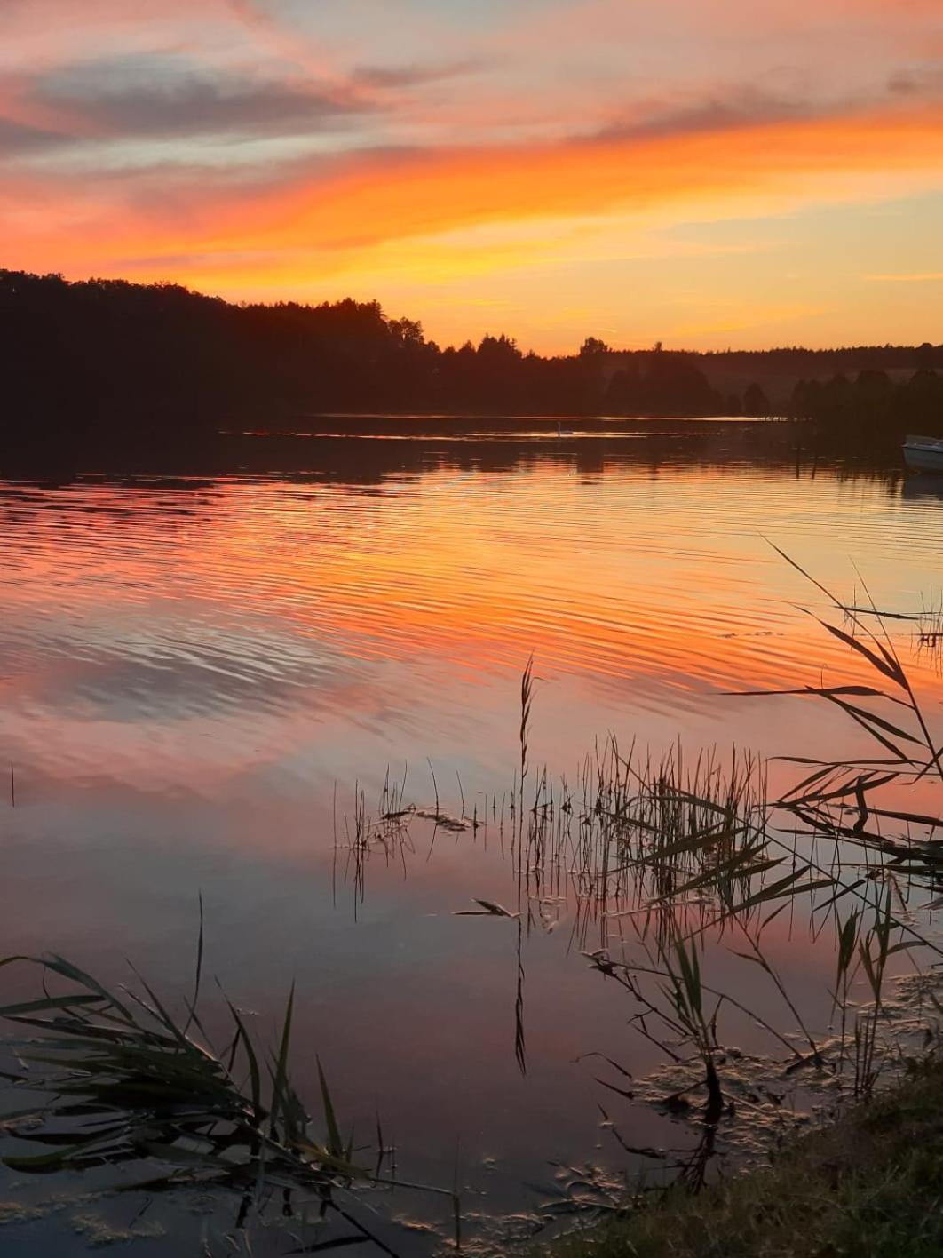 Domek Na Kaszubach, Borowy Mlyn, Jezioro Gwiazda, Sauna, 3 외부 사진